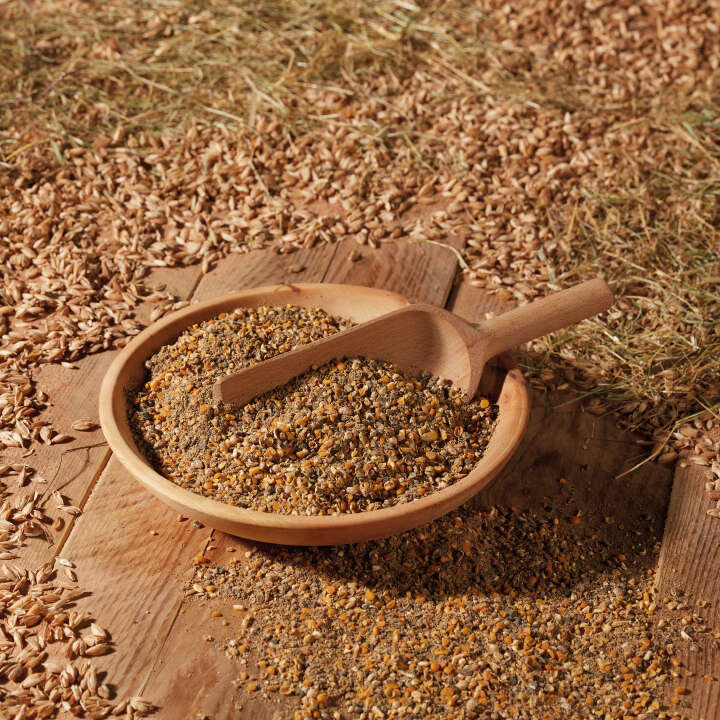 Landleben Freiland LegeGold